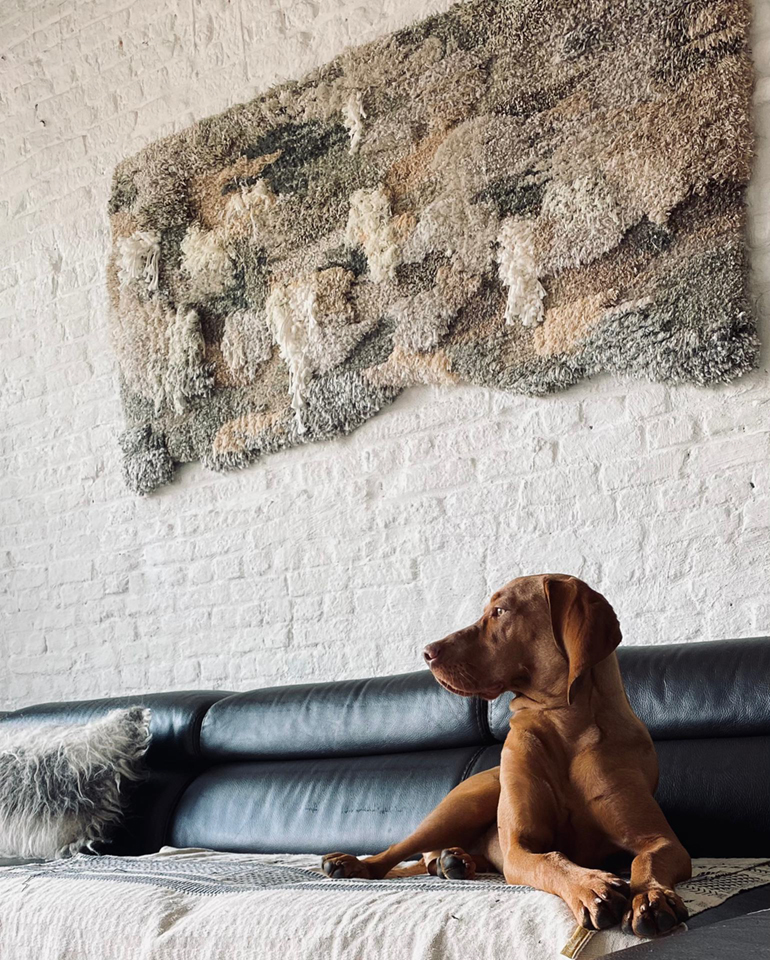 tonal beige and grey tufted wall tapestry with vizsla in front